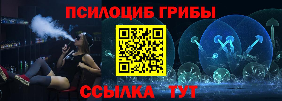 Псилоцибиновые грибы Psilocybe Кирово-Чепецк